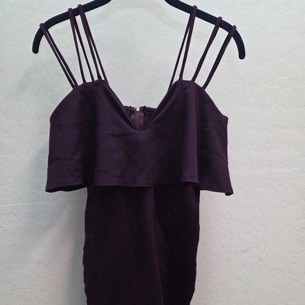 Charolette Russe-Stunning Deep purple dress- Size small- Fitted zipper in back V